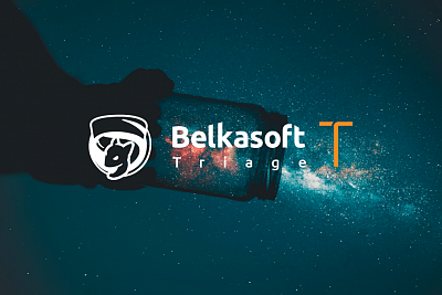 Belkasoft Triage